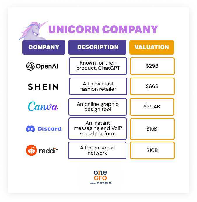 Unicorn companies or those with at least $1B valuation